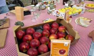 ¿Alguna vez has probado una manzana? El método del sumiller que cambiará tu forma de comerlo