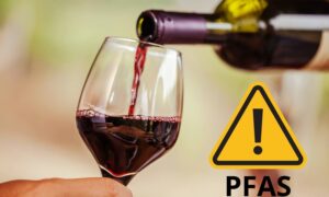 PFAS en el vino del Véneto: 75 de 76 botellas están contaminadas, ¿cuál es el riesgo de quienes beben mucho?