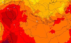 Calor récord en Europa, la OMS da la alarma: “Ya no es sólo meteorología”