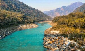 La vida silvestre del río se mueve libremente una vez que se eliminan las represas, pero también…