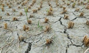 Las condiciones meteorológicas extremas y la adaptación climática desigual desafían a Europa…