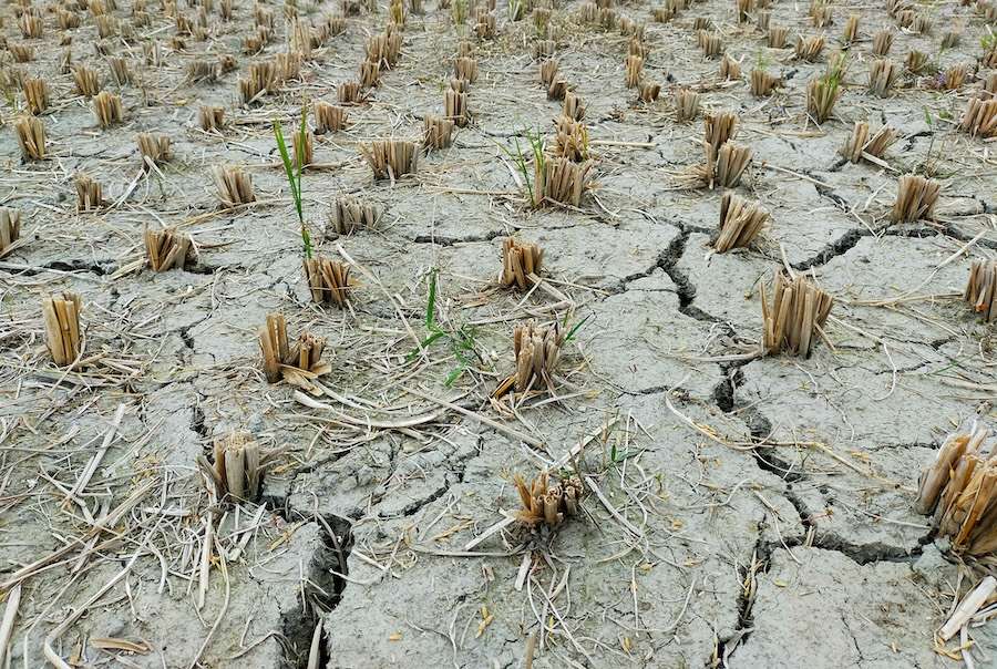 Extreme weather and uneven climate adaptation challenge Europe’s resilience