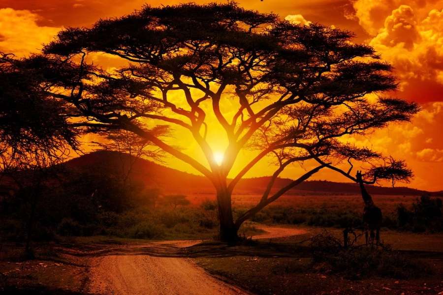 Extreme weather and climate events impact millions in Africa in 2025