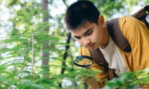 Los niños ecoalfabetizados pueden ser guardianes de la naturaleza: aquí se explica cómo…