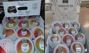 Mango retirado por los supermercados por exceder los límites de pesticidas: los 5 lotes que no deben consumirse