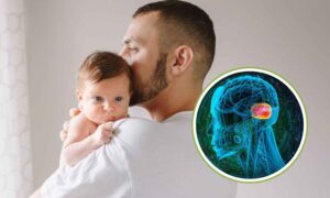 Olvídese de las hormonas, el cerebro de un padre puede volverse idéntico al de una madre: una investigación sobre los papás homosexuales que lo pone todo en duda
