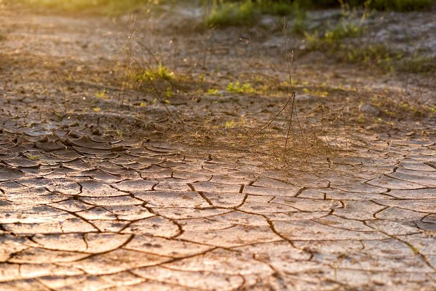 It’s 50 years since the 1976 drought: how would the UK cope with its next major one?