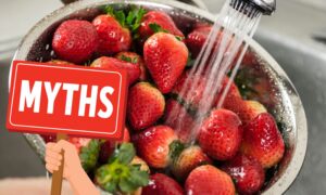 ¿Lavas las fresas nada más comprarlas? No volverás a hacerlo después de leer estos falsos mitos sobre el “fruto” del amor
