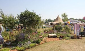 El jardín amigable con las mariposas de Emma gana la medalla de plata en RHS…