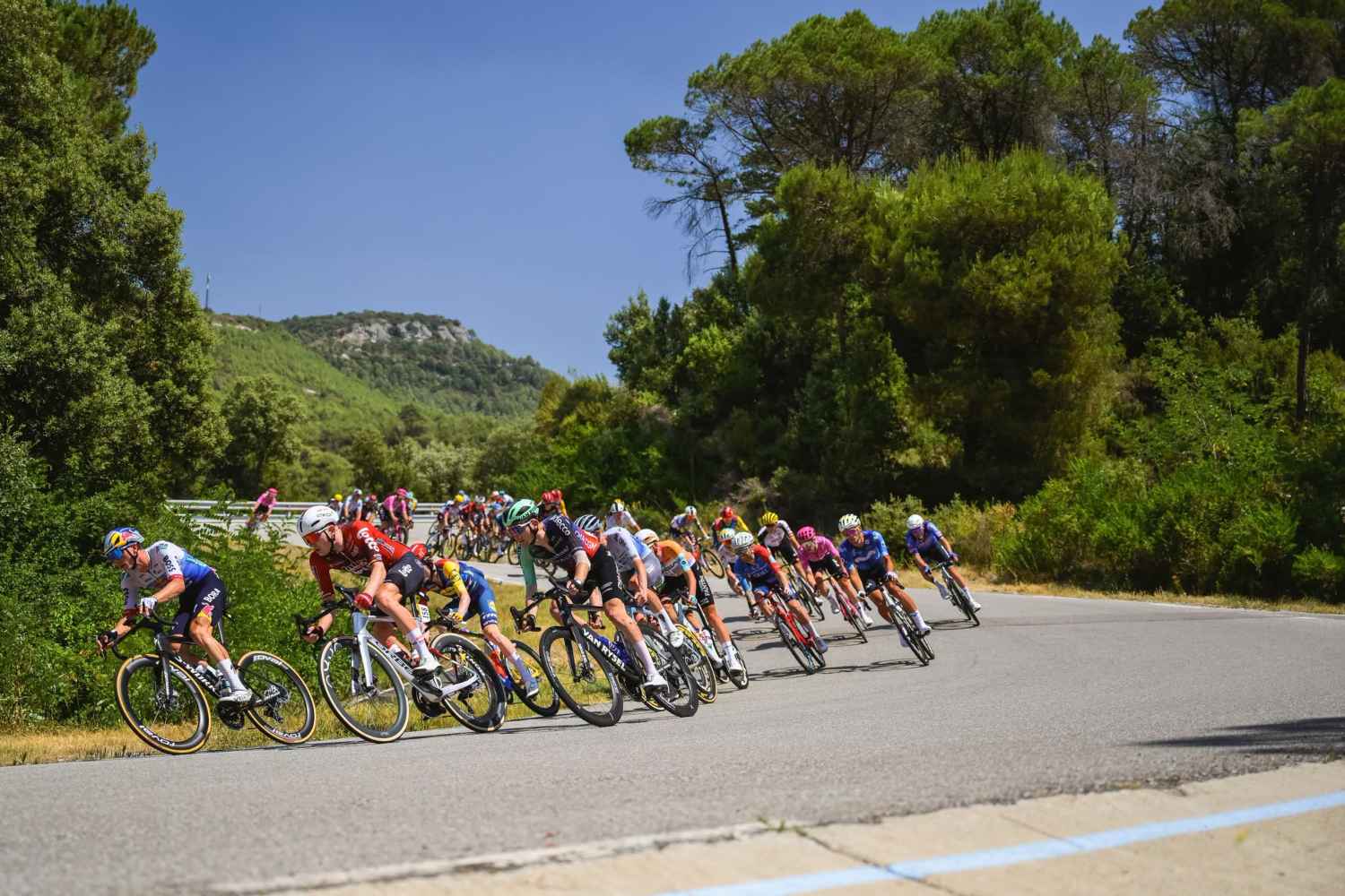 El calor récord también afecta al Tour de Francia: está en riesgo la mayor carrera ciclista (que hoy se quedará sin espectadores debido a los incendios)
