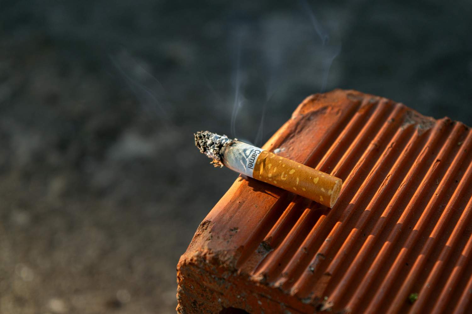 Esta universidad italiana quiere convertirse en Smoke Free: el plan para prohibir fumar hasta 2028 (reciclaje de colillas)