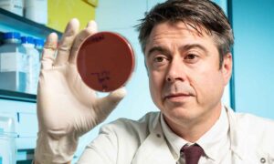 La cría intensiva de pollos ha acelerado 100 veces la propagación de esta bacteria responsable de la diarrea en todo el mundo