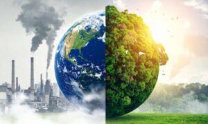 Por qué las emisiones de carbono y la biodiversidad no pueden permanecer en silos separados
