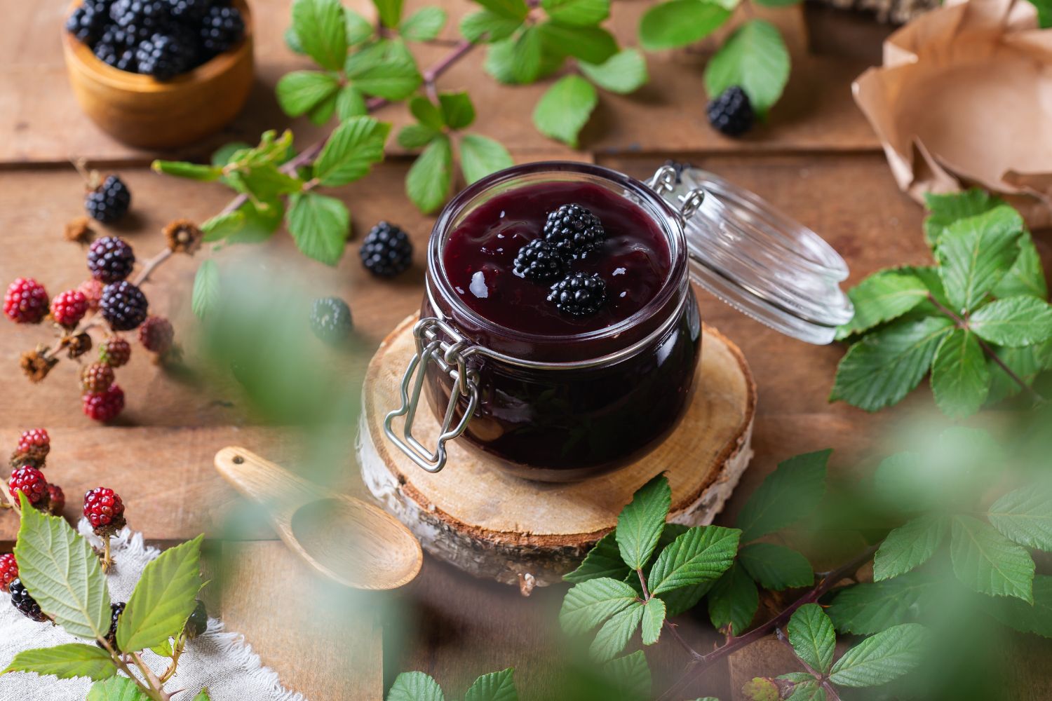 compota de moras
