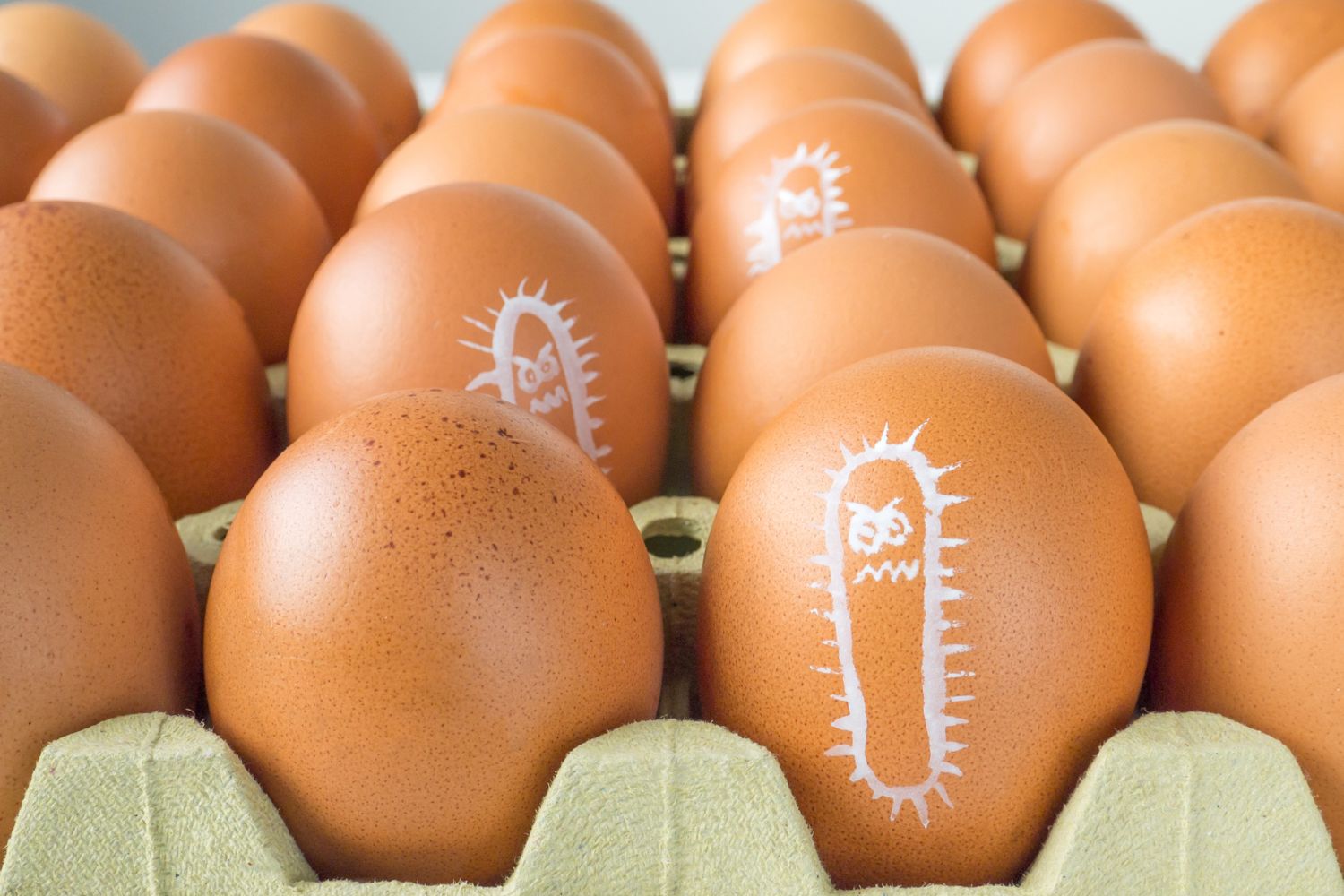 uova salmonella