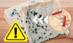Alerta de listeria en Gorgonzola (también de venta en Carrefour): marca y lote que no se debe consumir