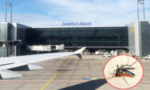 Brote de malaria en el aeropuerto de Frankfurt, 2 muertos y 6 empleados infectados: qué está pasando y cuáles son los riesgos