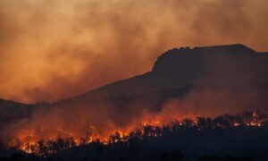 Cómo la reconstrucción podría ayudar a detener la propagación de los incendios forestales en Gran Bretaña