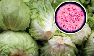 Ensalada contaminada, dos primeras muertes en EE.UU.: el enorme brote de ciclosporiasis supera los 11 mil casos