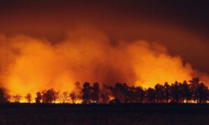 Incendios forestales: por qué la cobertura de los medios no siempre es…