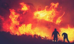 Los aviones de extinción de incendios no son suficientes: Gran Bretaña necesita construir un…