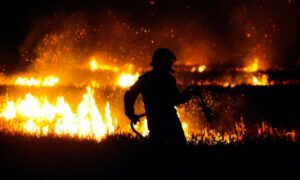 Más del 75% de los humedales del Reino Unido han sido destruidos, restaurándolos…