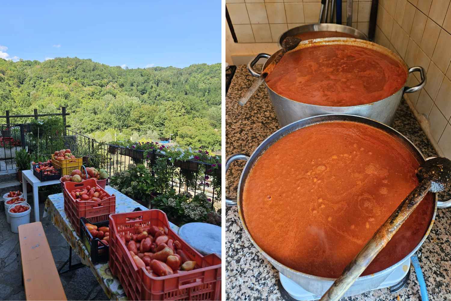 passata di pomodoro fatta in casa