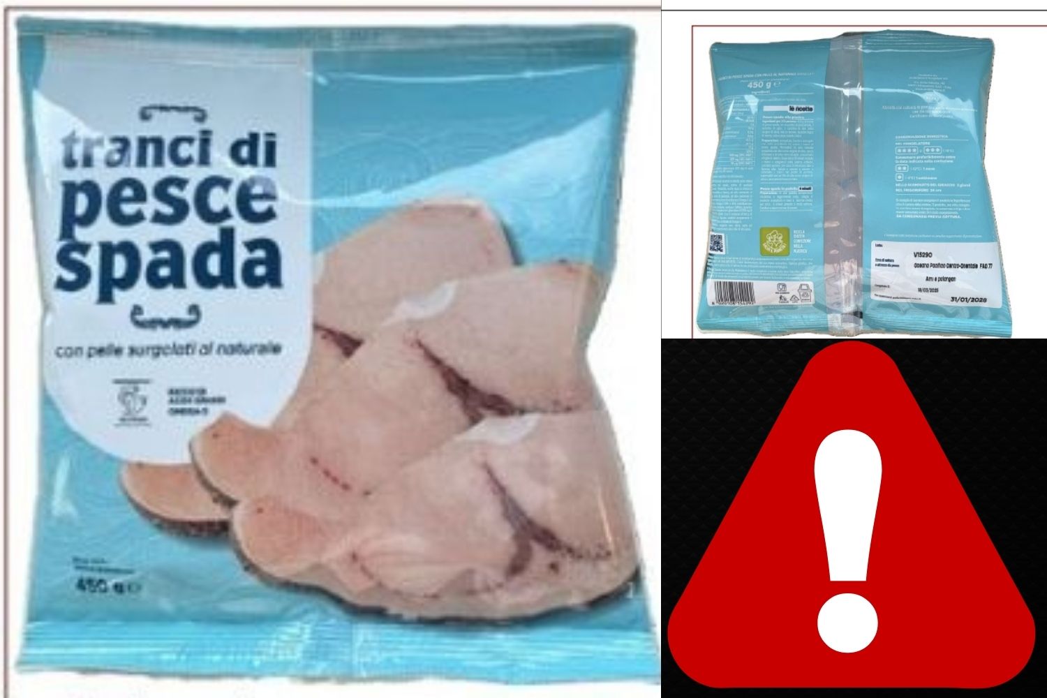 richiamo pesce spada 2