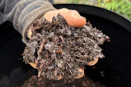 UK Compost Championship Announces
