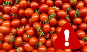 Salmonella en tomates cherry: retirada para este lote