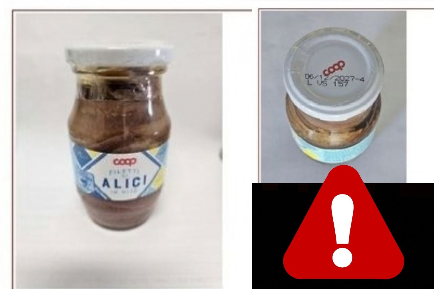 richiamo filetti di alici 2