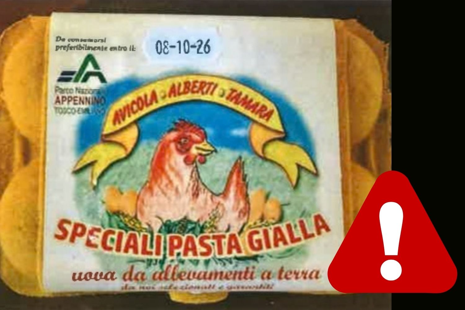 richiamo uova 2