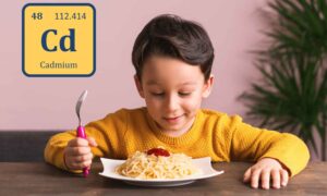 Cadmio en la pasta: los niños que lo consumen en gran cantidad pueden superar el umbral de seguridad