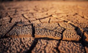 El Niño se volverá muy fuerte, aumentando el riesgo de fenómenos extremos…