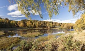 El público respalda la restauración de la naturaleza para proteger a Gran Bretaña de los efectos extremos…