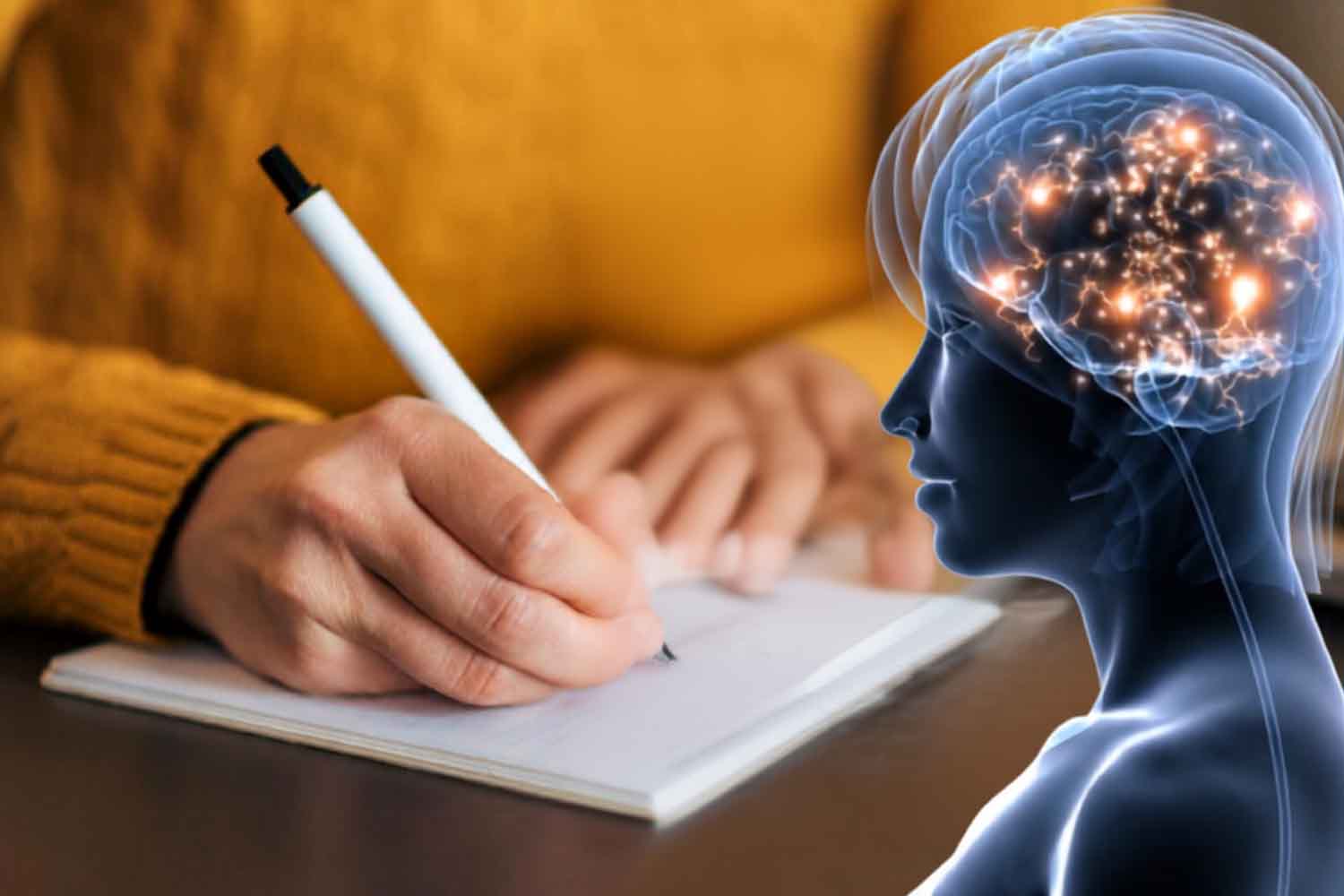 cervello e scrittura