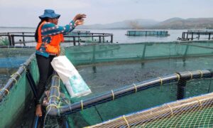 Ethical Seafood Research y Rio Fish anuncian una asociación para…