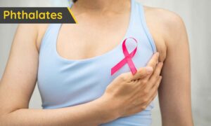 Ftalatos y cáncer de mama: lo que descubrió el nuevo estudio que siguió a casi 12 mil mujeres durante 20 años
