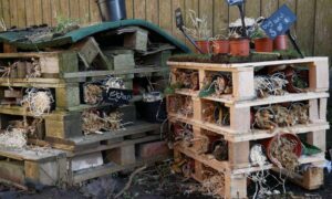 Los científicos descubren que los pequeños jardines son una gran barrera para el apoyo…