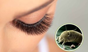 Pestañas con extensiones: en el 96% de las analizadas había pequeños ácaros (pero hay una forma de reducir el riesgo)