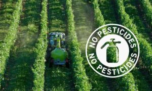 Pesticidas, médicos y pediatras contra las nuevas normas de la UE: “salud antes que simplificación”