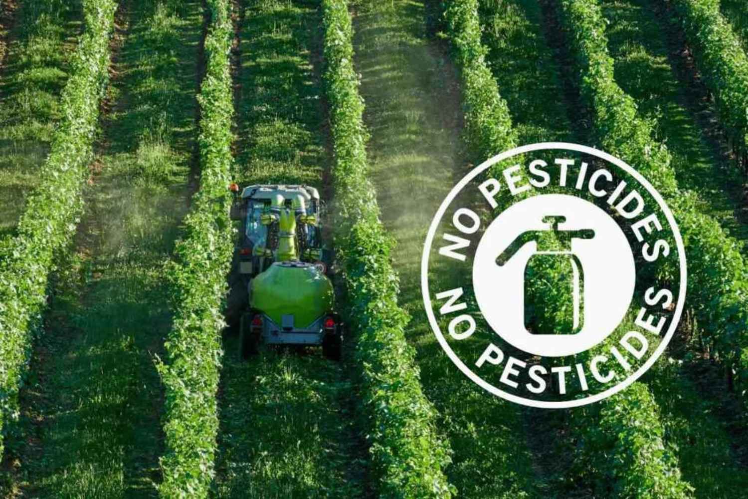 no pesticidi