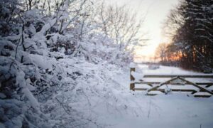 Por qué las olas de frío invernal son cada vez más leves