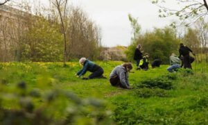 Proyecto para crear Espacios Salvajes para mariposas y polillas en…