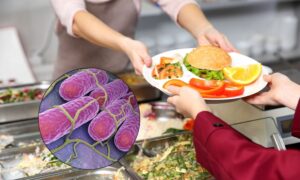 Salmonella en los comedores escolares: 89 personas infectadas y 14 niños hospitalizados en la zona de Brescia