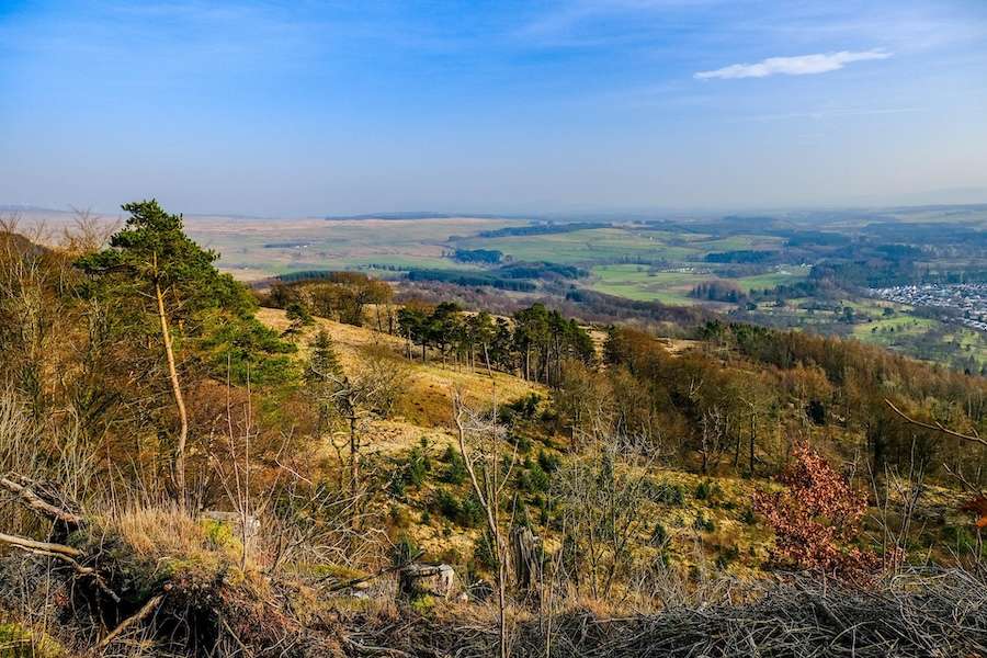 £2 billion a year needed to restore England’s protected places and bring nature back, new research reveals