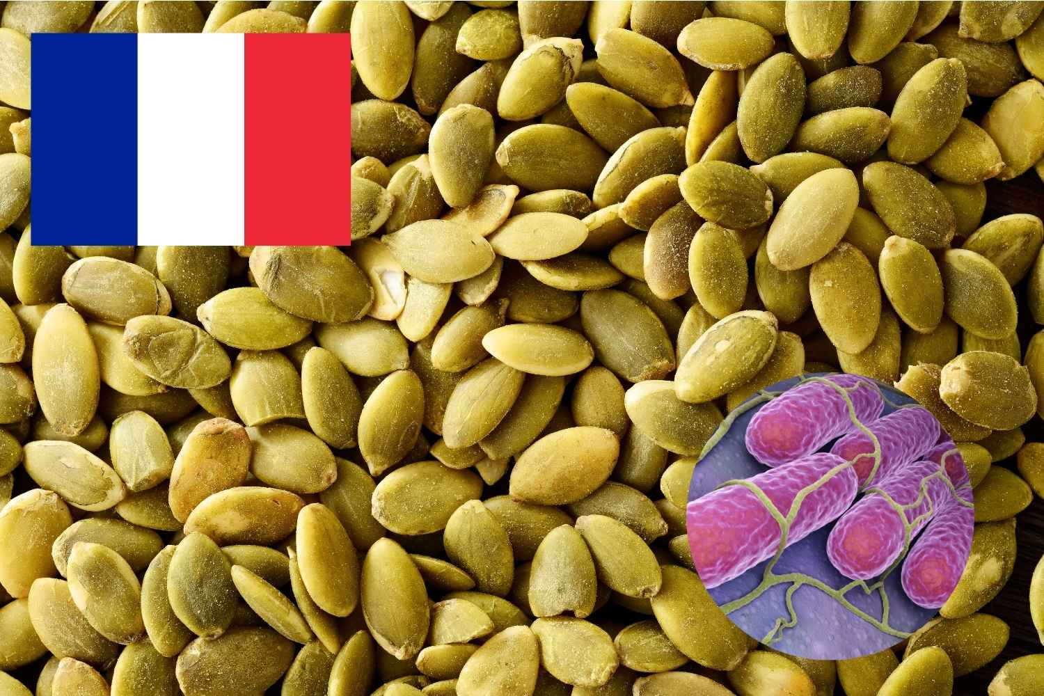 semi di zucca salmonella rancia