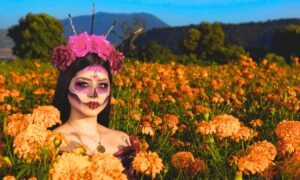 ¿Por qué se utilizan las caléndulas para las flores del Día de Muertos?