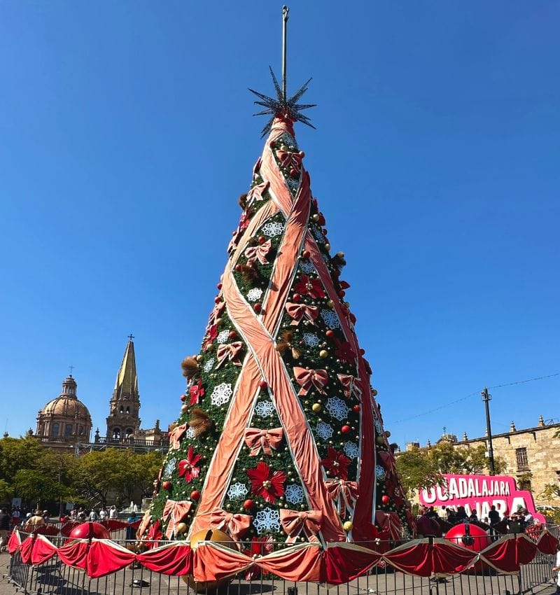 guadalajara méxico árbol de navidad