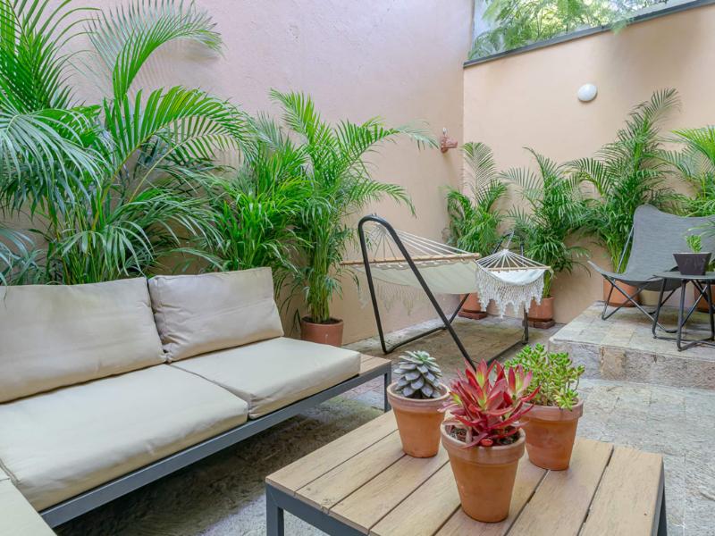 Terraza privada llena de plantas en Loft Balam Airbnb en Polanco, Ciudad de México